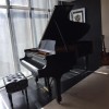 Steinway &amp; Sons 5