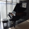 Steinway &amp; Sons 3